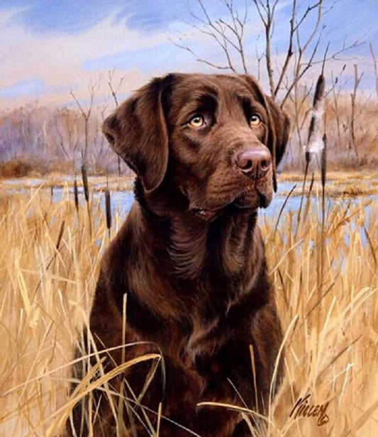Diamond Painting and Cross Stitch Art Kit