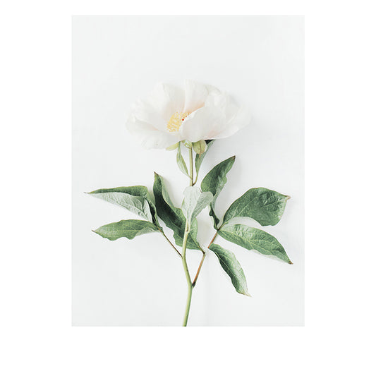 Modern Art Abstract Plant Watercolor Poster Print